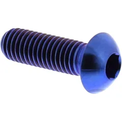 Schraube Bremsscheibe M8X1. 25 mm 25 mm Titan blau passend für: BMW R, K, F 800