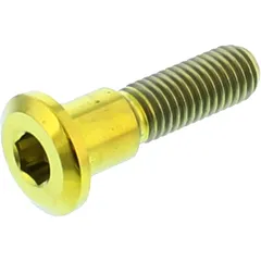Schraube Bremsscheibe JMP Bolt M8X1. 25 mm 33 mm Titan gold passend für: Suzuki RG