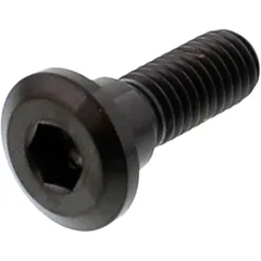 Brake disc screw M8X1. 25mm 24mm titan black for: Honda CB, VT, TRX