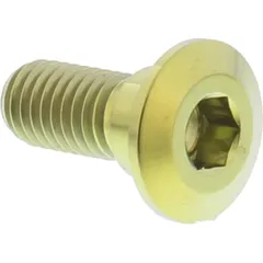 Schraube Bremsscheibe TIDISCYAM20G