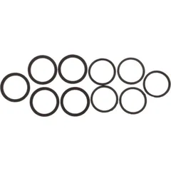 Seal Kit Caliper Piston CPS413