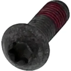 Brake disc screw M8X1. 25X25mm for: BMW R, K, F 800