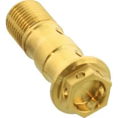 Banjo bolt double m10x1.00 LSSBANJOD10FRG