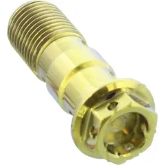 Banjo bolt double m10x1.00 TIBANJOD10FRG