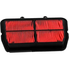 Luftfilter Hiflo passend für: Triumph Tiger