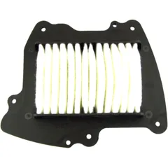 AIR FILTER OE REPLACEMENT PART for Motorcycles