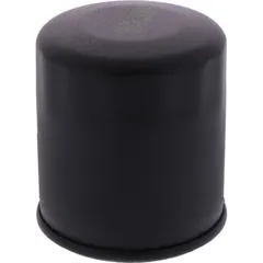 Oil filter (orig spare part) 490657010