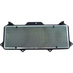 Air filter (orig spare part) 17210MKJD00