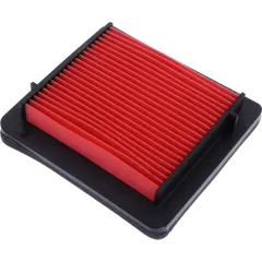 Air filter (orig spare part) 1012896