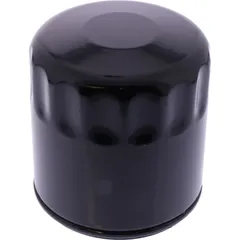 Oil filter (orig spare part) 1096620