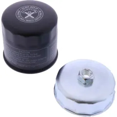 Oil filter (orig spare part)
