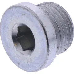 Oil drain plug magnetic (orig spare part) 1123469
