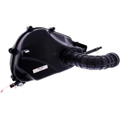 Air filter box complete (OE spare part) for: SYM Symphony 7233267