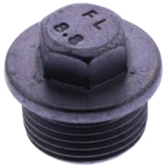 DRAIN PLUG (OE SPARE PART)