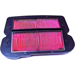 Luftfilter Hiflo passend für: Honda GL 7233802