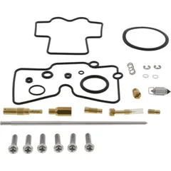 Vergaser Reparatursatz All Balls Racing 261269