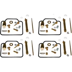 Carburettor Repair Kit for Common Models