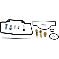 Vergaser Reparatursatz All Balls Racing Vollsatz für Motorräder 7243454