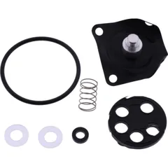 Fuel tank valve repair kit FCK6