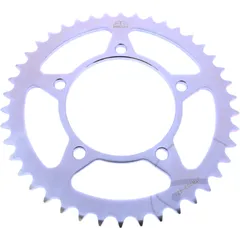 Kettenrad 42Z Teilung 520 Innendurchmesser 100 Lochkreis 120 passend für: Aprilia RS, Pegaso, Tuono
