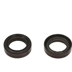 Fork oil seal kit - ari ARI009
