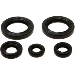 Engine oil seal kit for: KTM Duke