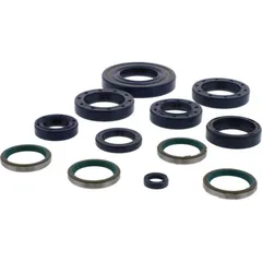 Engine oil seal kit P400110400024