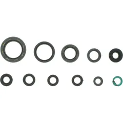 Engine oil seal kit P400210400096