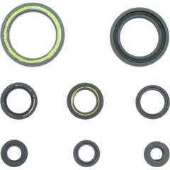 Engine oil seal kit P400210400202