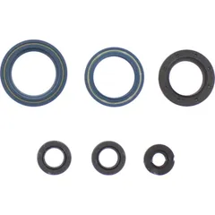 Engine oil seal kit P400270400014