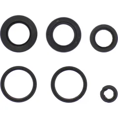 Engine oil seal kit P400325400003