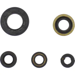 Engine oil seal kit P400485400022
