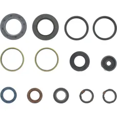 Engine oil seal kit P400485400067
