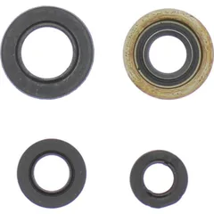 Engine oil seal kit P400485400136