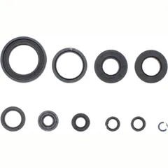 Engine oil seal kit P400485400267
