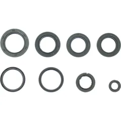 Engine oil seal kit P400550400004