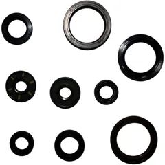 Engine oil seal kit P400270400071