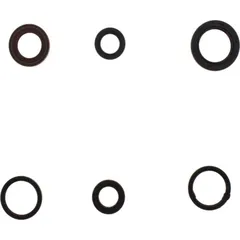 Engine oil seal kit P400550400006