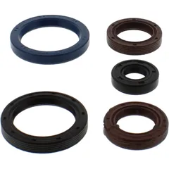 Engine oil seal kit P400480400035