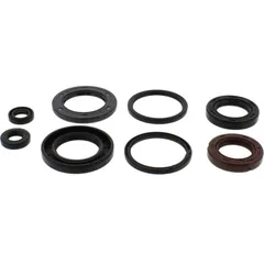 Engine oil seal kit P400550400008