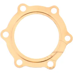 Zylinderkopfdichtung für On- und Offroad-Motorräder 7342521