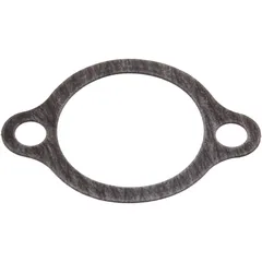 Steuerkettenspanner Dichtung – Originalersatzteil