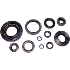 Engine oil seal kit for: Fantic XX