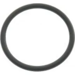 Cylinder head o ring