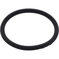 Exhaust gasket o-ring athena