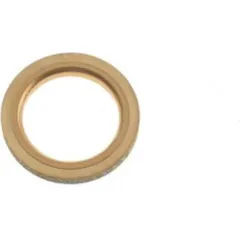 Exhaust gasket (orig spare part) 1P6E461300