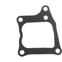 Valve cover gasket (orig spare part) 1117322G00000