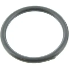 O-ring (orig spare part) 920550732