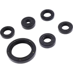 Shaft seal set athena P400250400068