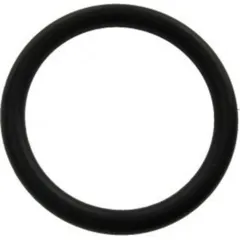 Anlasserdeckeldichtung O-Ring Originalersatzteil 0928025002000
